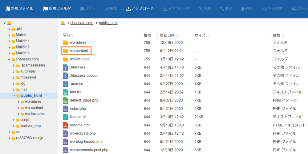 レンタルサーバー画面（wp-content）